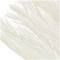 35" Natural Dried Palm Leaf Bundle with Feather-Inspired Stems